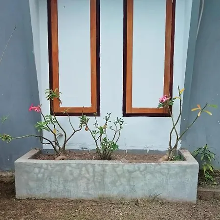 Tangkoko Ranger Homestay Bitung Exterior photo