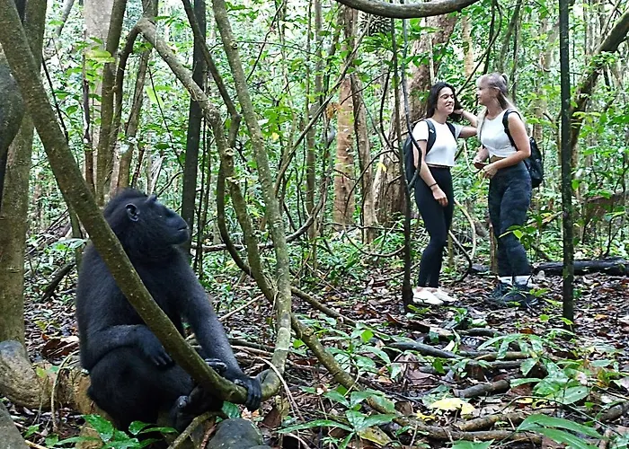 Tangkoko Ranger Homestay