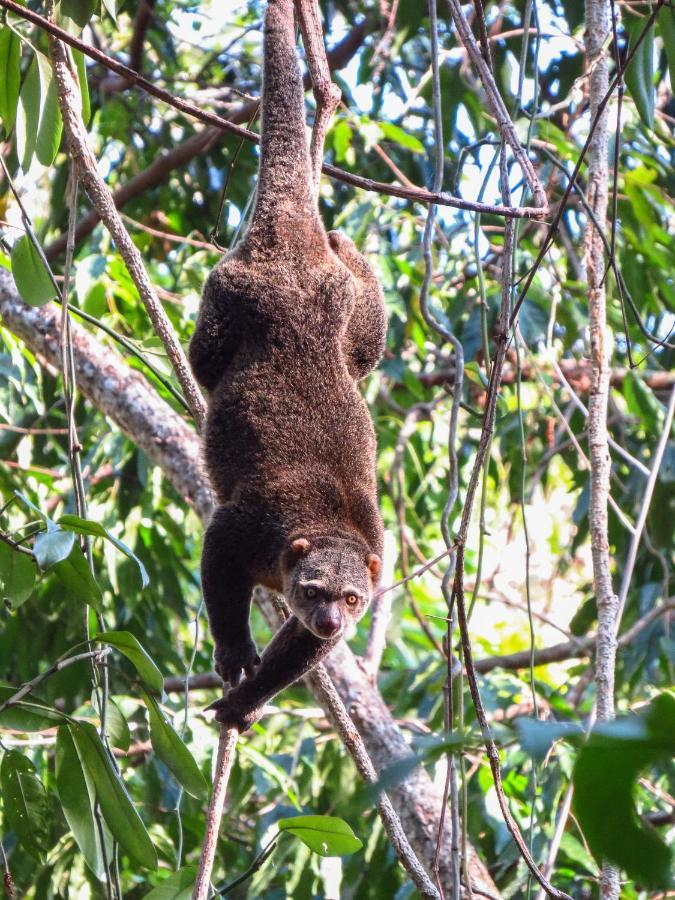 Tangkoko Ranger Homestay Bitung