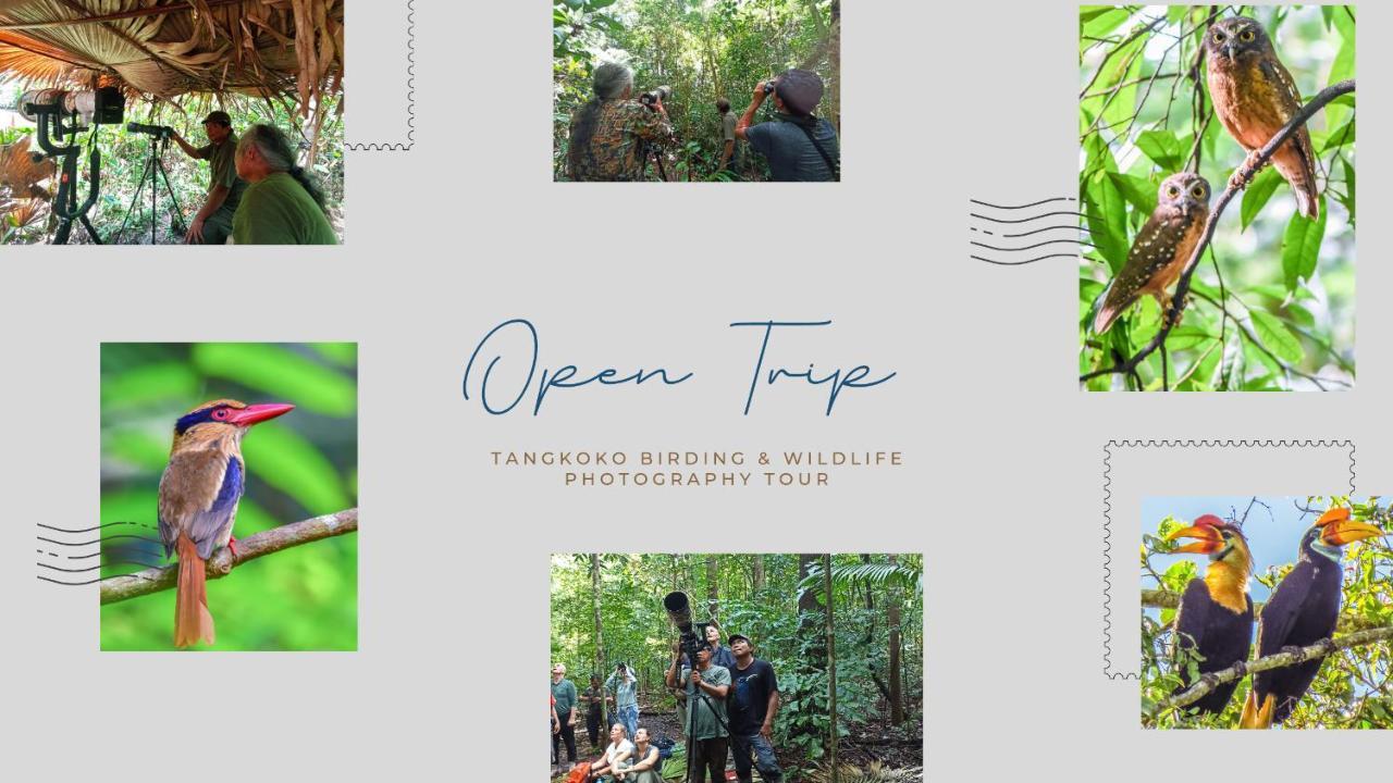 Tangkoko Ranger Homestay Bitung